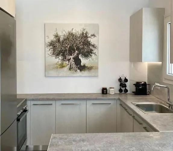 Victoria's Dream, In Paros بيت للعطل ناوسا